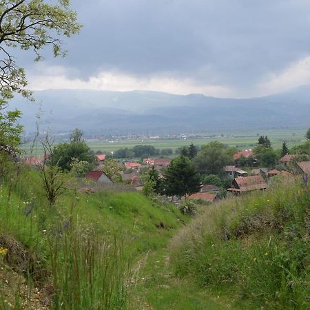 Birdsong Cottage - Peaceful Country Retreat Păuleni-Ciuc Εξωτερικό φωτογραφία