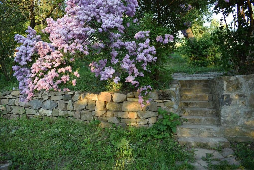 Birdsong Cottage - Peaceful Country Retreat Păuleni-Ciuc Εξωτερικό φωτογραφία
