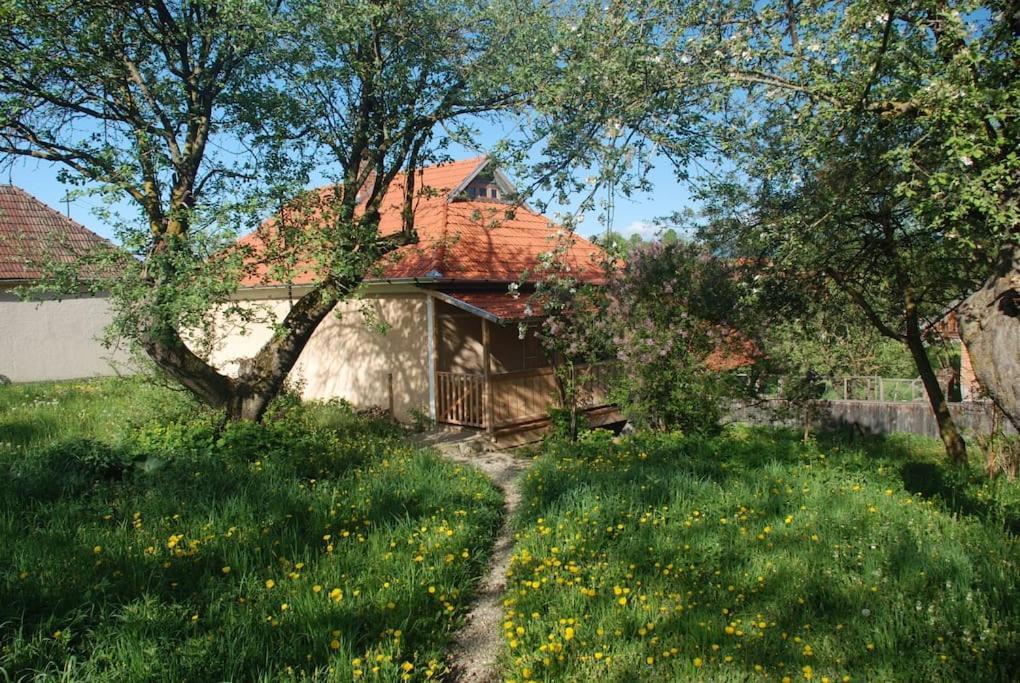 Birdsong Cottage - Peaceful Country Retreat Păuleni-Ciuc Εξωτερικό φωτογραφία