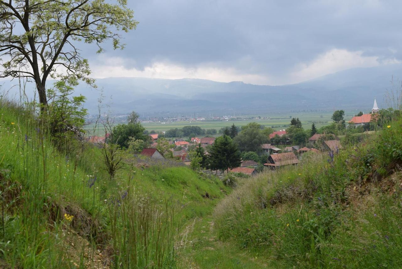 Birdsong Cottage - Peaceful Country Retreat Păuleni-Ciuc Εξωτερικό φωτογραφία